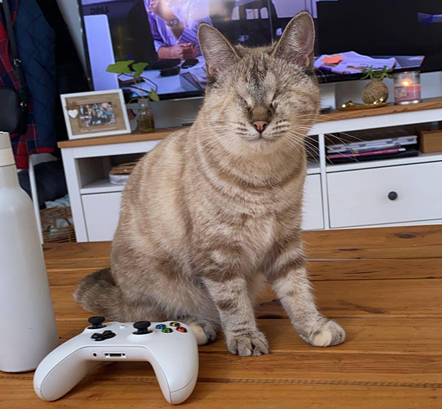 hazel sitting next to a game controller